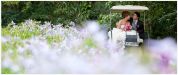 Wedding Gallery - w24.jpg