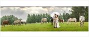 Wedding Gallery - w27.jpg