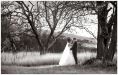 Wedding Gallery - w71.jpg